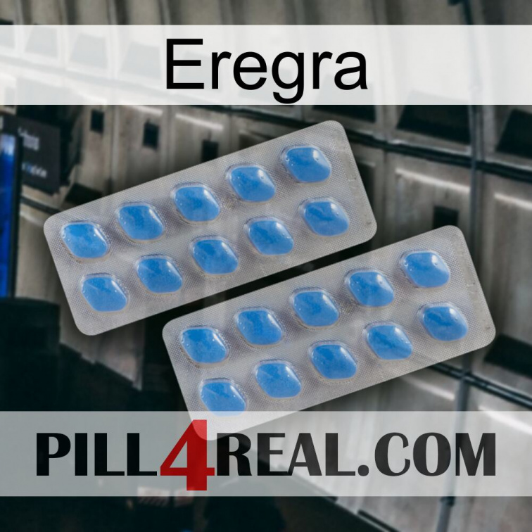 Eregra 23
